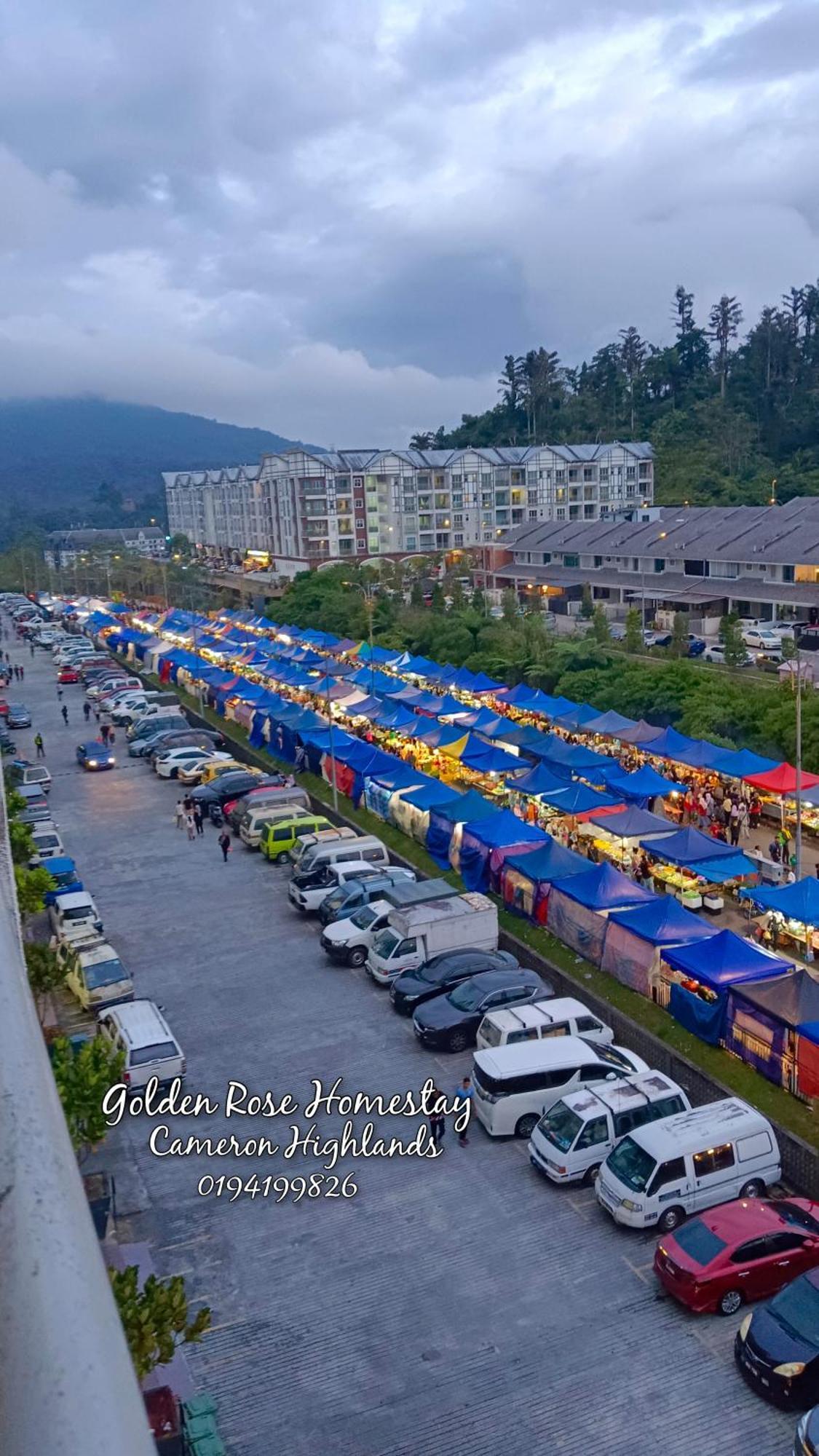 Golden Rose Homestay Cameron Highlands Бринчанг Екстер'єр фото